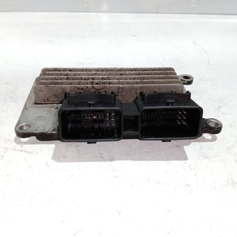 Calculator motor Renault Clio II 1.2B 1998-2005